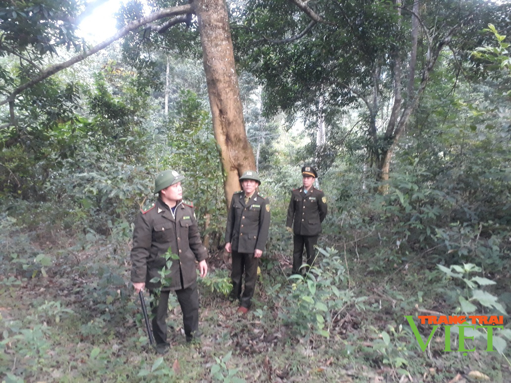 Lai Châu: Người dân no ấm nhờ giữ rừng xanh tốt - Ảnh 2. Lai Châu: Người dân no ấm nhờ giữ rừng xanh tốt - Ảnh 2.