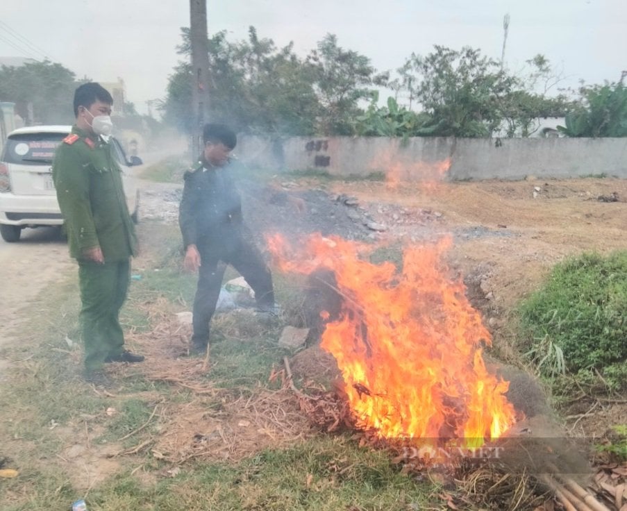 Tiêu hủy 4.390 mét lưới dùng bẫy chim trời tại Thanh Hóa - Ảnh 2.