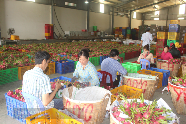 TP.HCM: Doanh nghiệp tăng tốc với đơn hàng cuối năm - Ảnh 6.