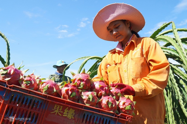 Trung Quốc kiểm soát chặt hàng hoá Việt vì Covid-19 - Ảnh 1.