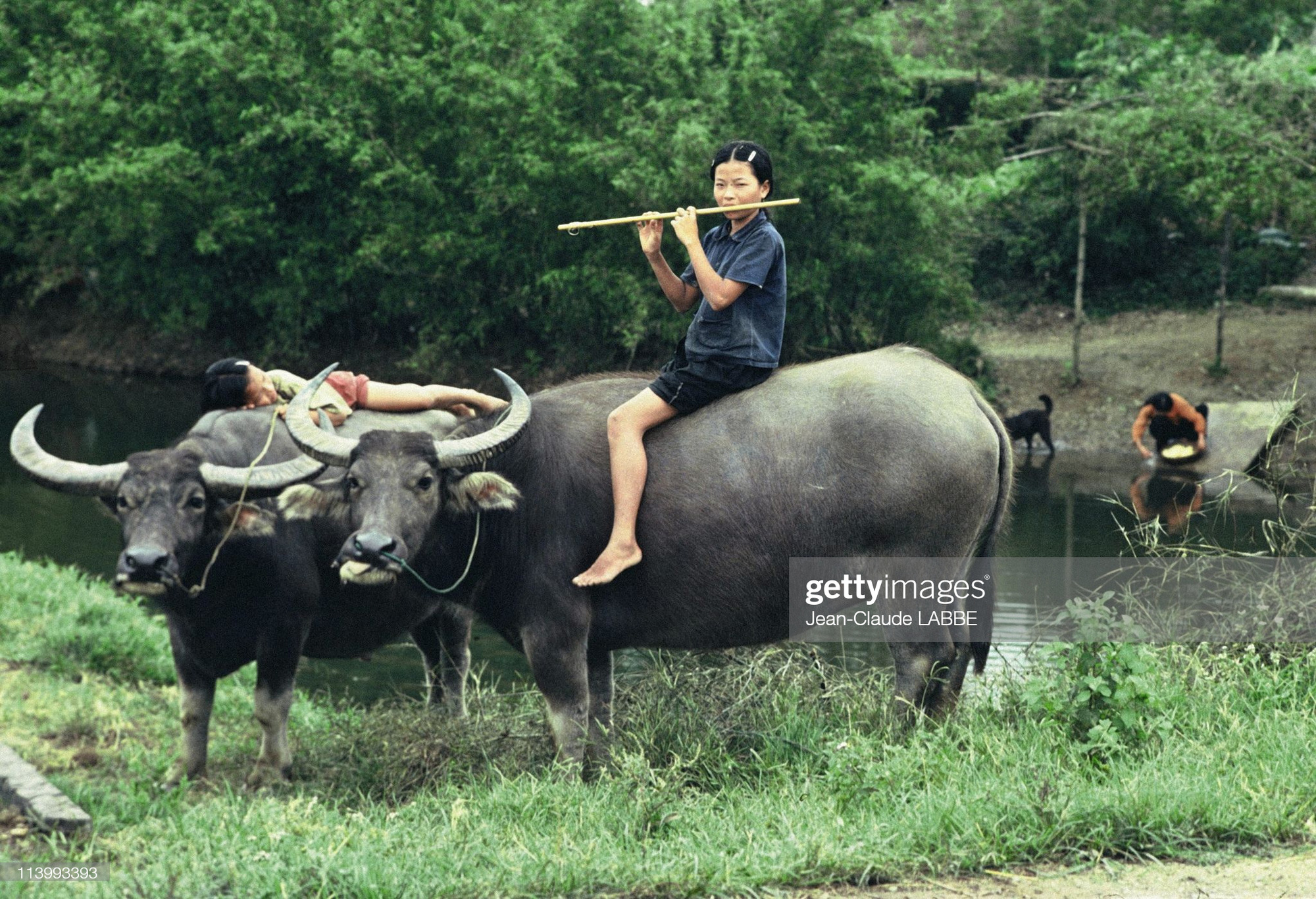 Ảnh để đời về phụ nữ Việt Nam năm 1994 - Ảnh 10.
