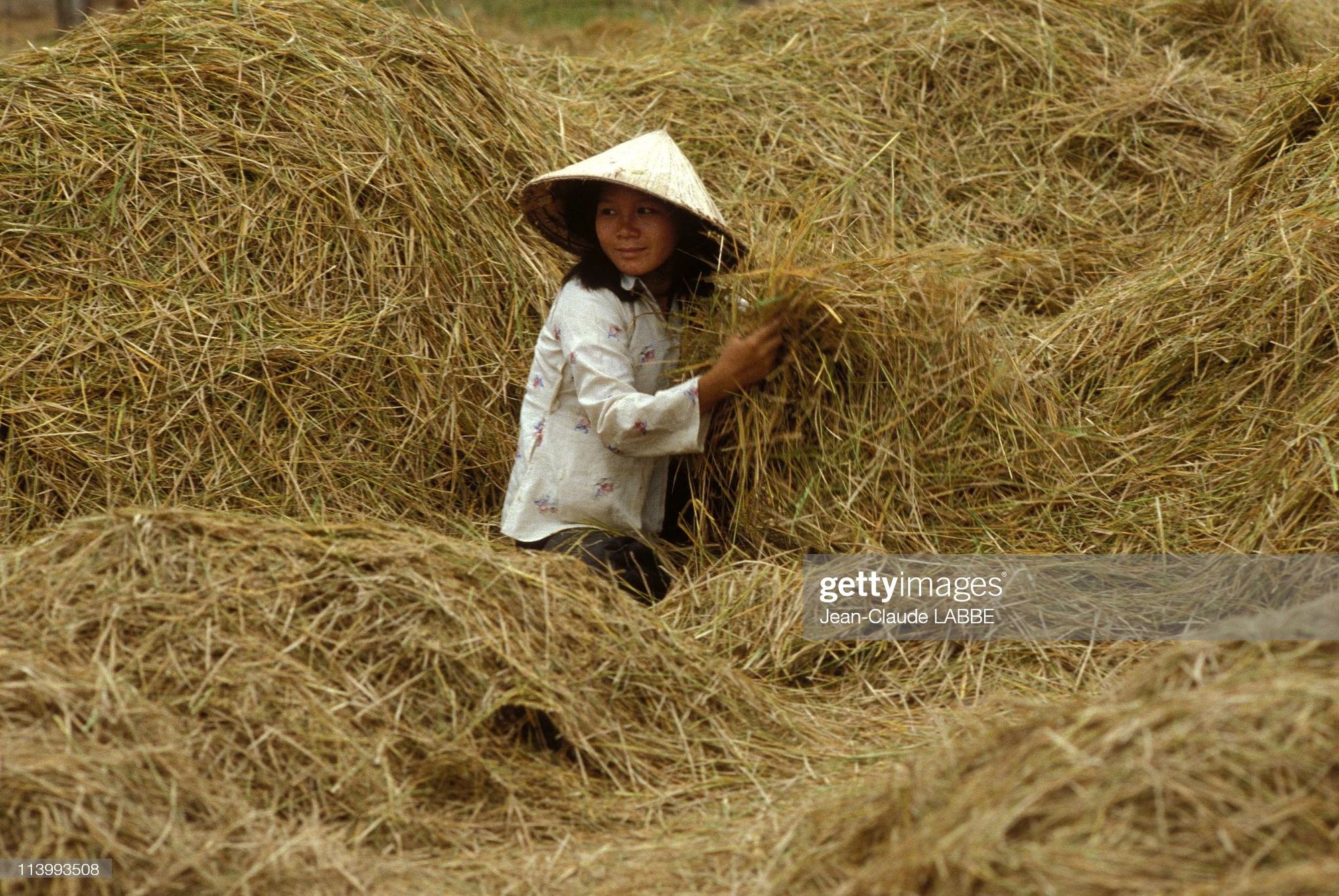 Ảnh để đời về phụ nữ Việt Nam năm 1994 - Ảnh 12.