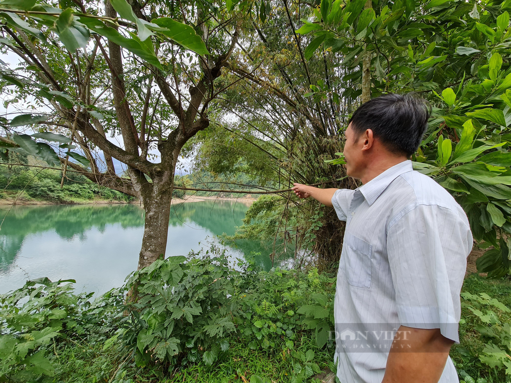 Đà Nẵng: Nguy cơ nhà bị nhấn chìm, người dân mới chỉ nhận đất tái định cư trên giấy - Ảnh 1.
