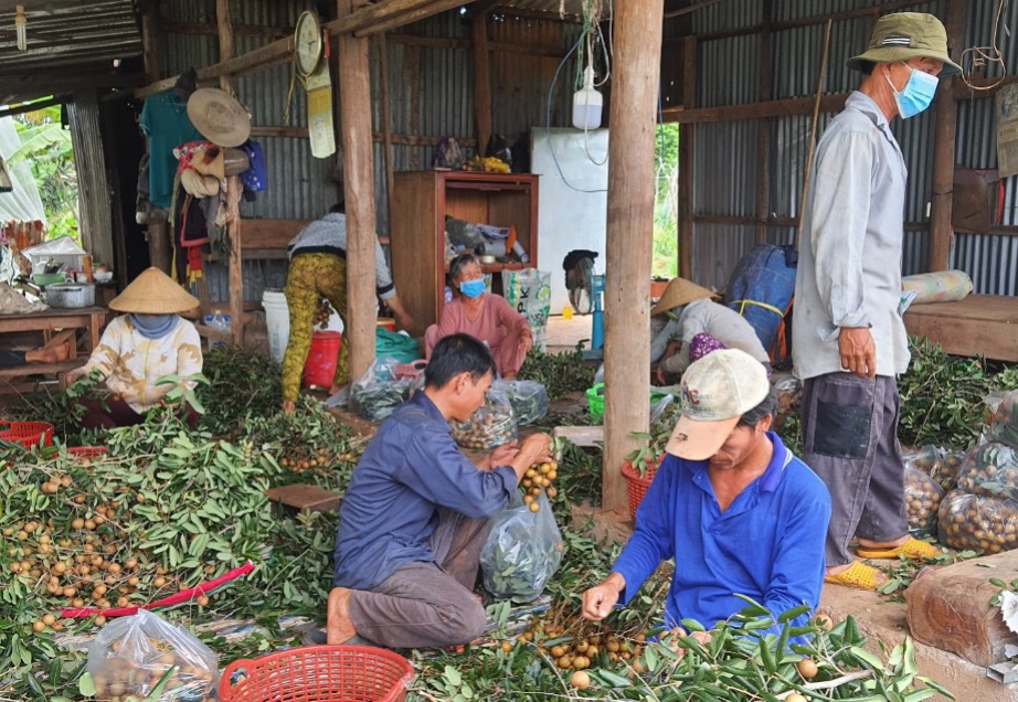 Bà Rịa - Vũng Tàu: Đưa bể chứa vỏ chai, bao bì thuốc bảo vệ thực vật đến với vùng sản xuất nông nghiệp - Ảnh 2.