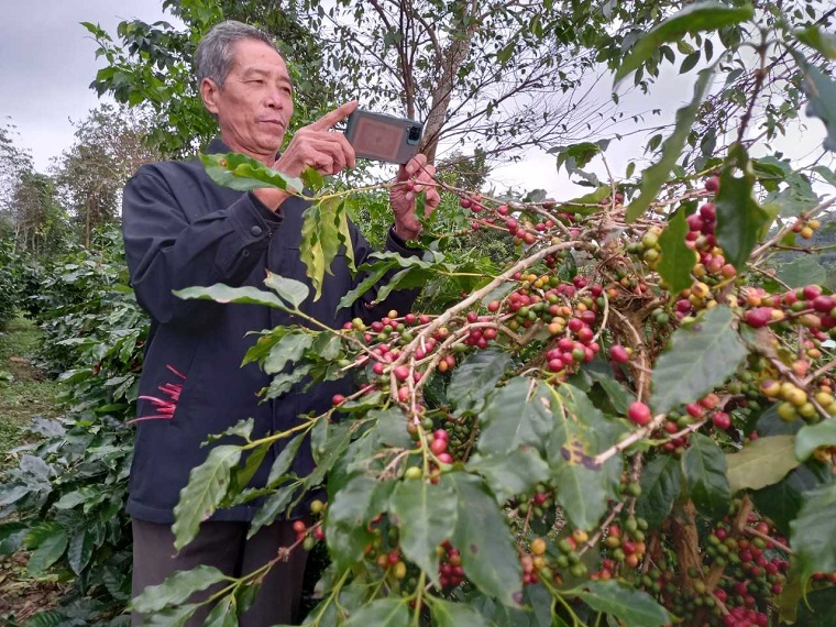 Chuyển đổi số, xây dựng nông thôn mới thông minh - Ảnh 1.
