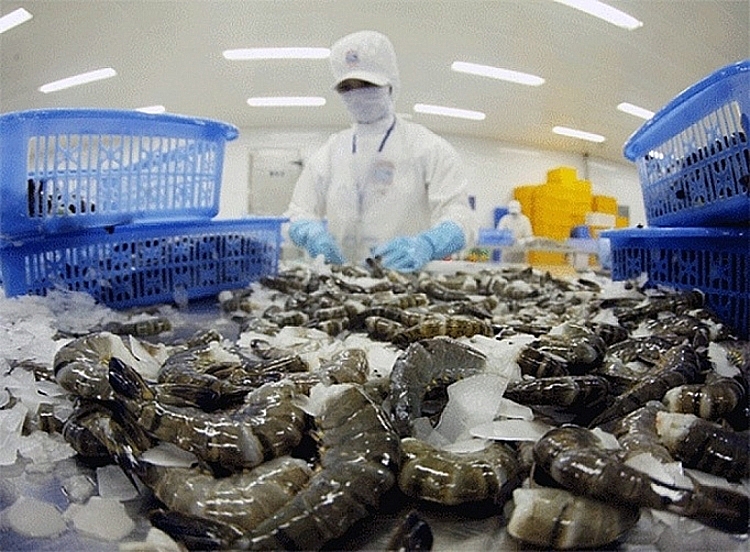 Xuất khẩu tôm năm 2021 dự kiến cán đích 3,9 tỷ USD - Ảnh 1.