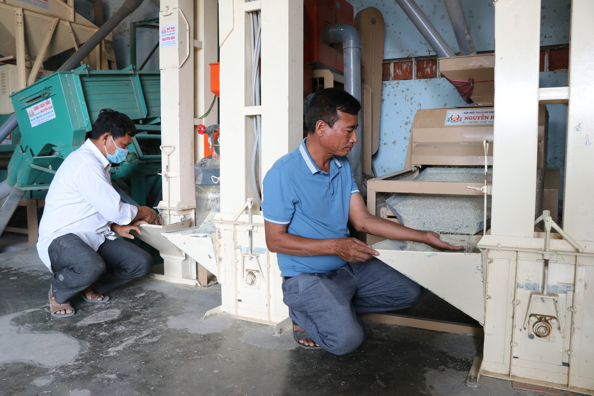 Đảm bảo nguồn điện trên cánh đồng lớn nhất Tây Nguyên - Ảnh 1. Đảm bảo nguồn điện trên cánh đồng lớn nhất Tây Nguyên - Ảnh 1.