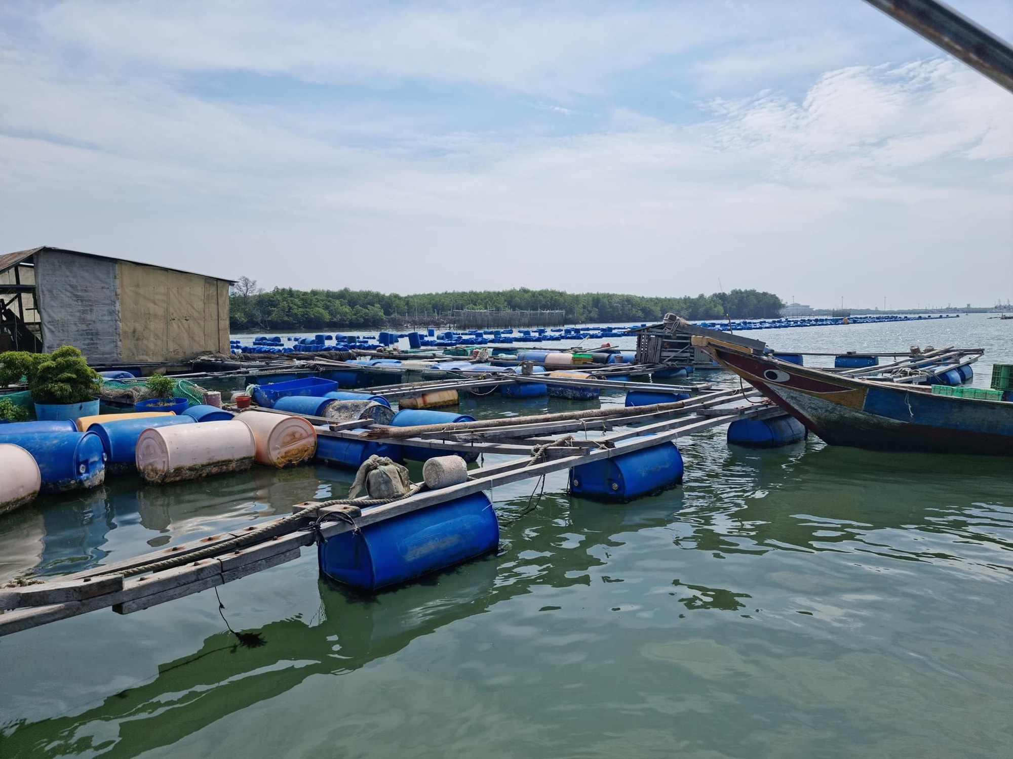 Bà Rịa - Vũng Tàu: 7 hộ dân đã đưa lồng bè rời khỏi sông Mỏ Nhát - Ảnh 1.