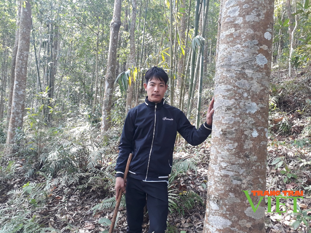 Chính sách chi trả dịch vụ môi trường rừng: Tạo đà trong xây dựng nông thôn mới ở Lai Châu - Ảnh 1. Chính sách chi trả dịch vụ môi trường rừng: Tạo đà trong xây dựng nông thôn mới ở Lai Châu - Ảnh 1.