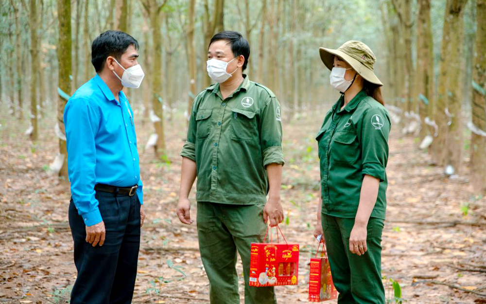 Bội thu “vàng trắng”, công ty và lao động cùng vui - Ảnh 1. Bội thu “vàng trắng”, công ty và lao động cùng vui - Ảnh 1.