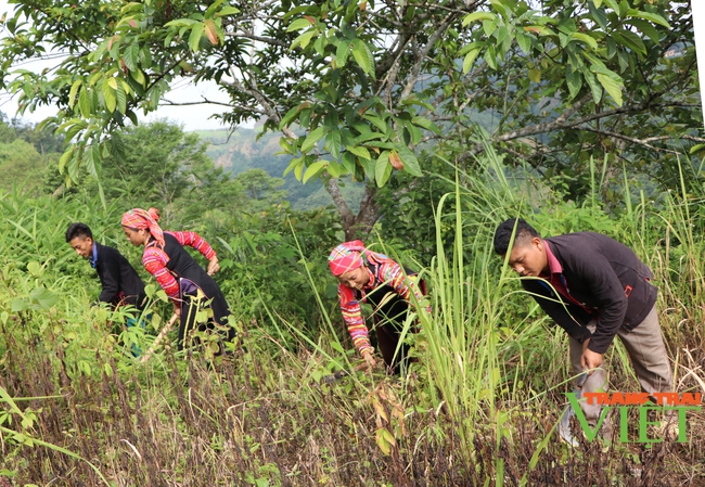 Mường Tè tăng cường quản lý, bảo vệ rừng mùa hanh khô - Ảnh 3.