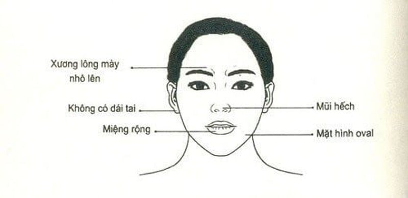 Phụ nữ có 6 nét tướng này coi chừng tán lộc, hôn nhân đứt gánh - Ảnh 1.