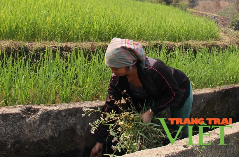 Nông thôn Tây Bắc: Xây dựng nông thôn mới hiệu quả ở Mường Ảng - Ảnh 4. Nông thôn Tây Bắc: Xây dựng nông thôn mới hiệu quả ở Mường Ảng - Ảnh 4.