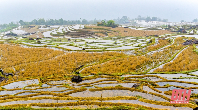 Pù Luông mùa nước đổ - Ảnh 1.