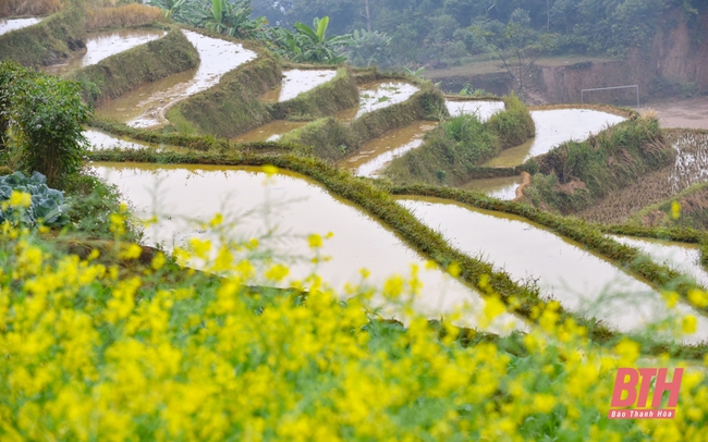 Pù Luông mùa nước đổ - Ảnh 4.