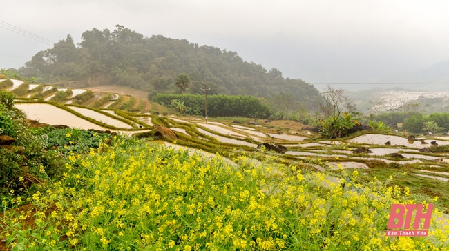 Pù Luông mùa nước đổ - Ảnh 9.