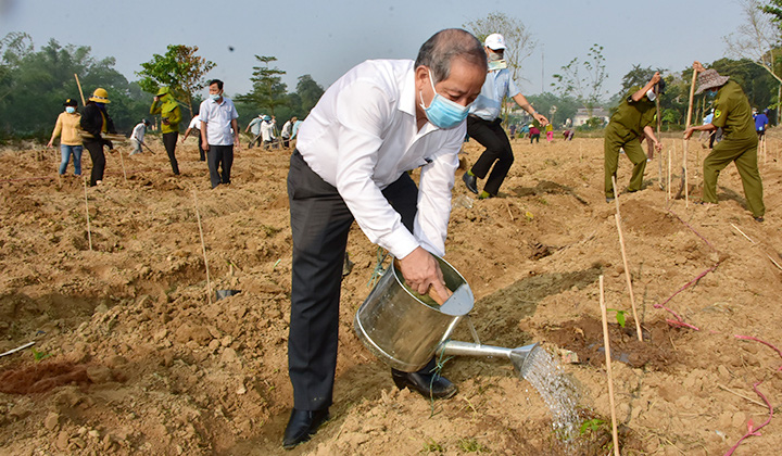 Xây dựng chỉ dẫn địa lý cho sản phẩm mai vàng của Thừa Thiên Huế - Ảnh 1.