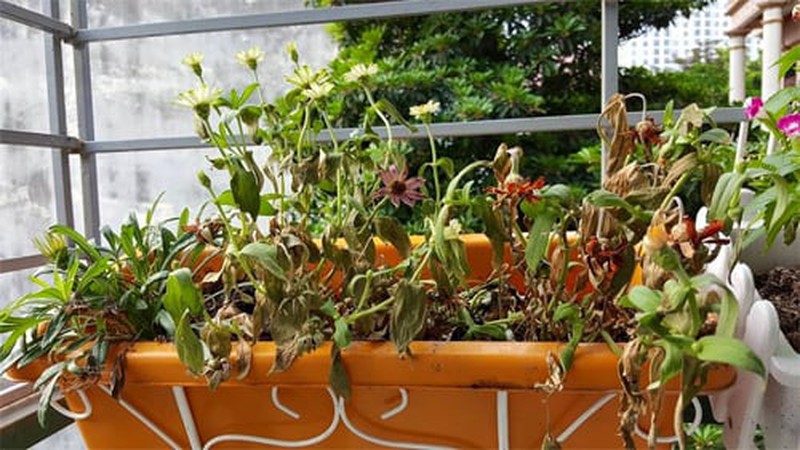 5 đồ vật cản trở tài lộc, rước thêm tai họa - Ảnh 1.