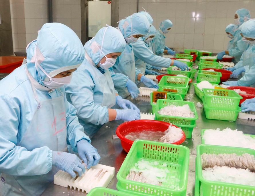 Xuất khẩu thủy sản 11 tháng đạt gần 8 tỷ USD - Ảnh 1.
