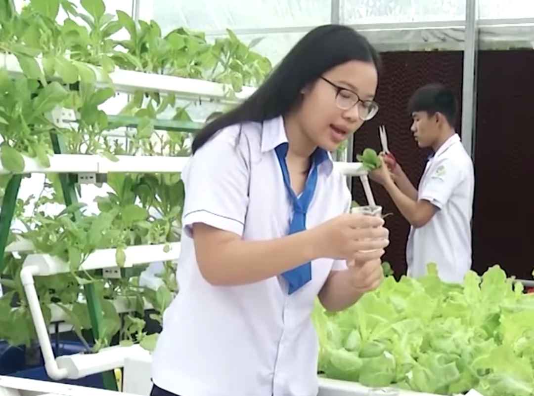 Bà Rịa - Vũng Tàu: 30 năm, từ những ngôi trường cấp 4 đến những dấu ấn phát triển vượt bậc - Ảnh 4.