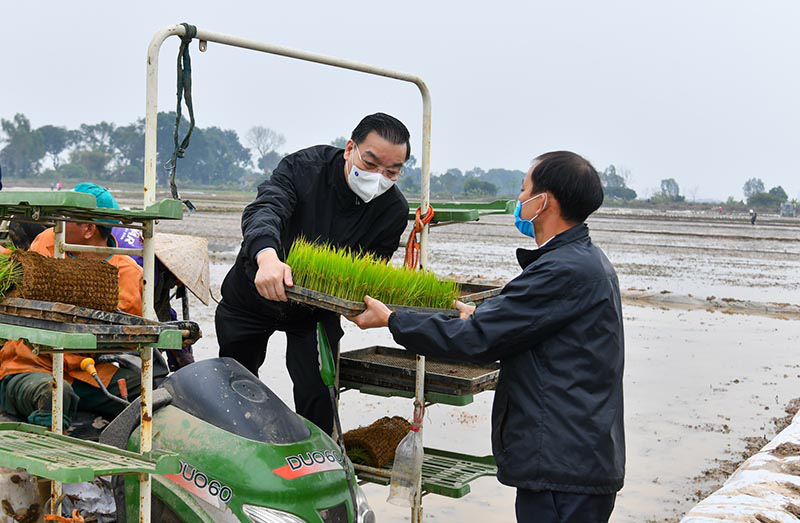 Thạch Thất (Hà Nội) về đích huyện NTM: Hướng mạnh đến sản xuất hàng hóa - Ảnh 1.