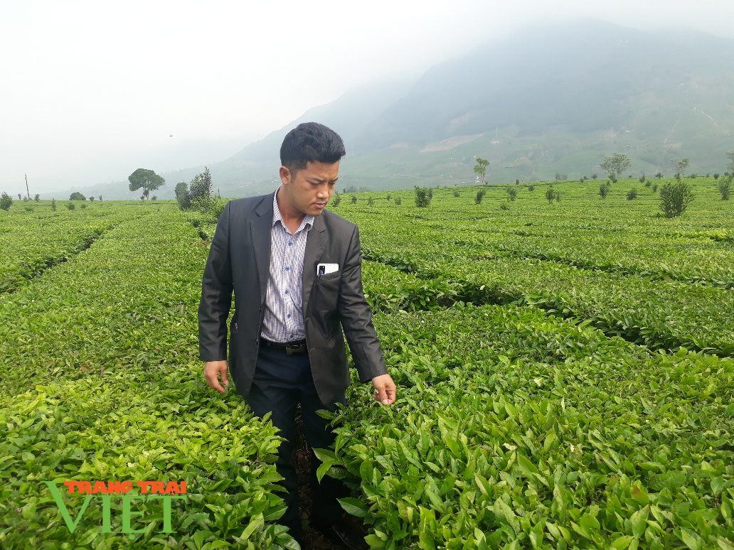 Lai Châu: Phát triển sản xuất nông nghiệp bền vững theo chuỗi liên kết - Ảnh 2. Lai Châu: Phát triển sản xuất nông nghiệp bền vững theo chuỗi liên kết - Ảnh 2.