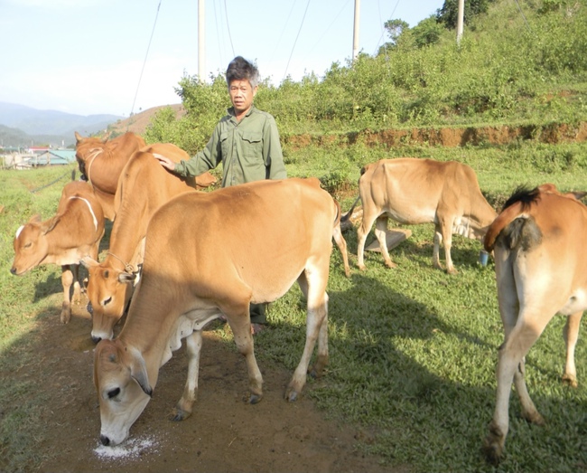 Mường Tè đẩy mạnh phong trào “Nông dân sản xuất, kinh doanh giỏi” - Ảnh 2.