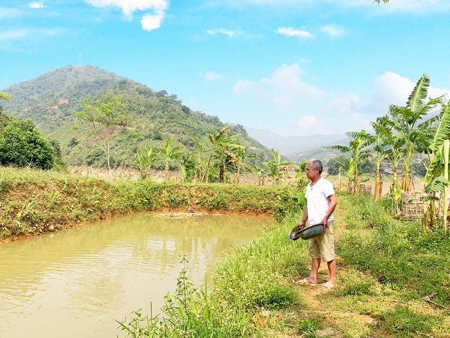 Mường Tè đẩy mạnh phong trào “Nông dân sản xuất, kinh doanh giỏi” - Ảnh 1.