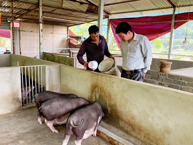 Mường Tè đẩy mạnh phong trào “Nông dân sản xuất, kinh doanh giỏi” - Ảnh 3.