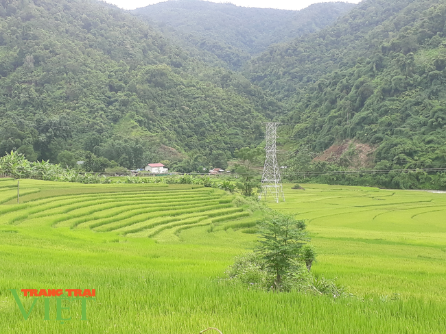 Lai Châu: Nhiều giải pháp giúp người dân nâng cao kiến thức trong sản xuất nông nghiệp - Ảnh 2.