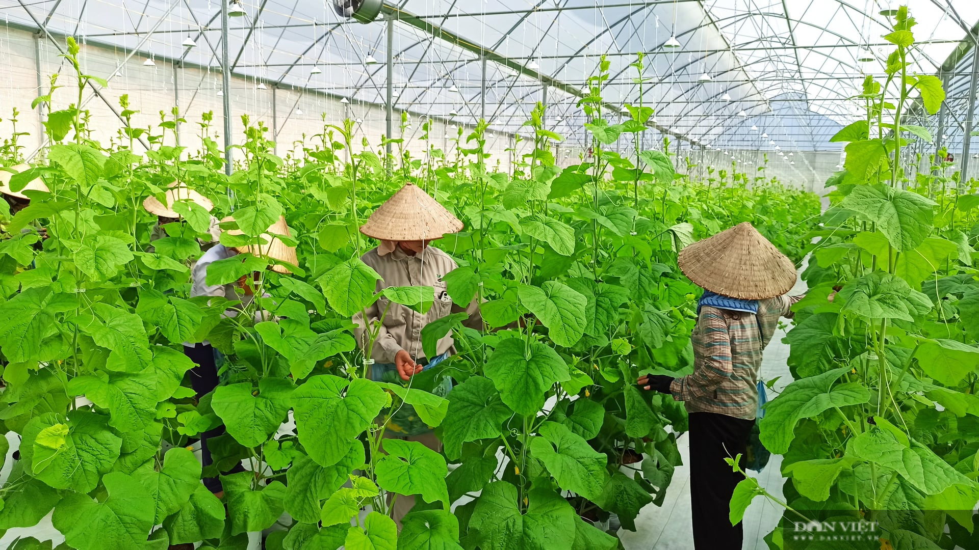 Hòa Bình:  - Ảnh 5.