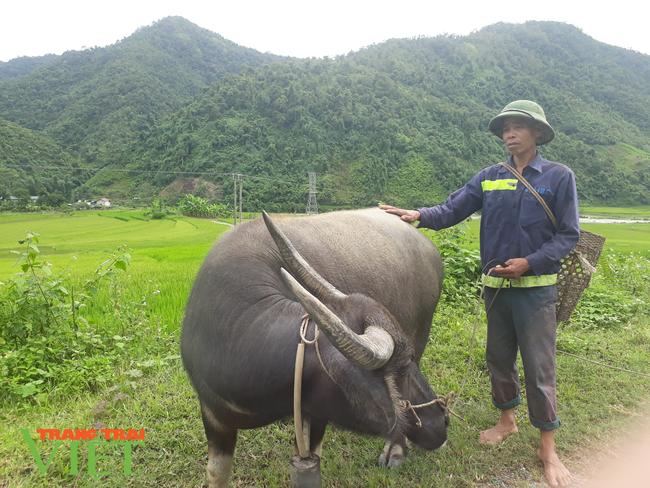 Lai Châu: Phát huy hiệu quả đồng vốn Quỹ hỗ trợ nông dân - Ảnh 3.