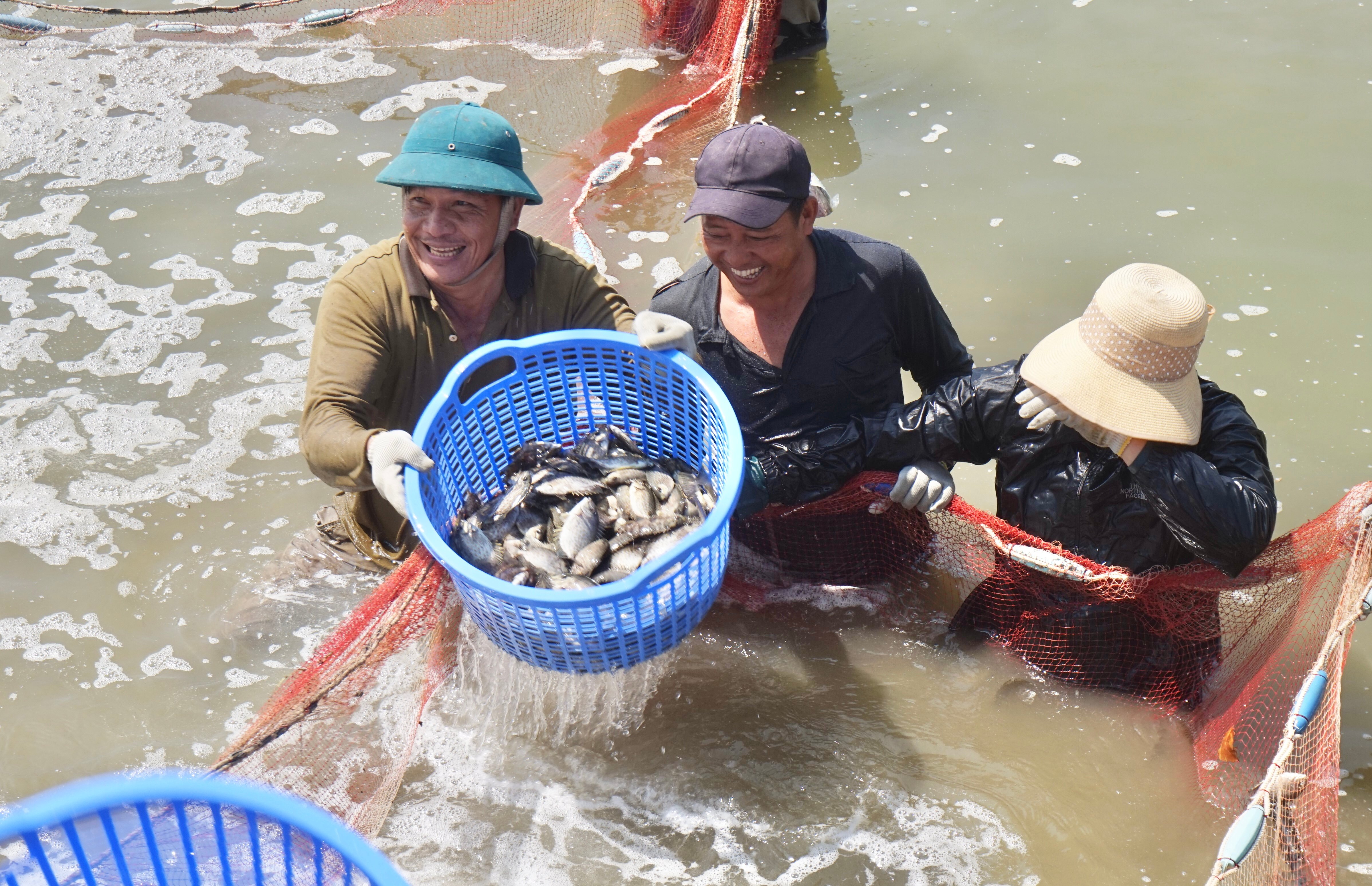 Hòa Vang (Đà Nẵng) sau 10 năm xây dựng nông thôn mới: Dấu ấn từ đột phá đa lĩnh vực - Ảnh 3.