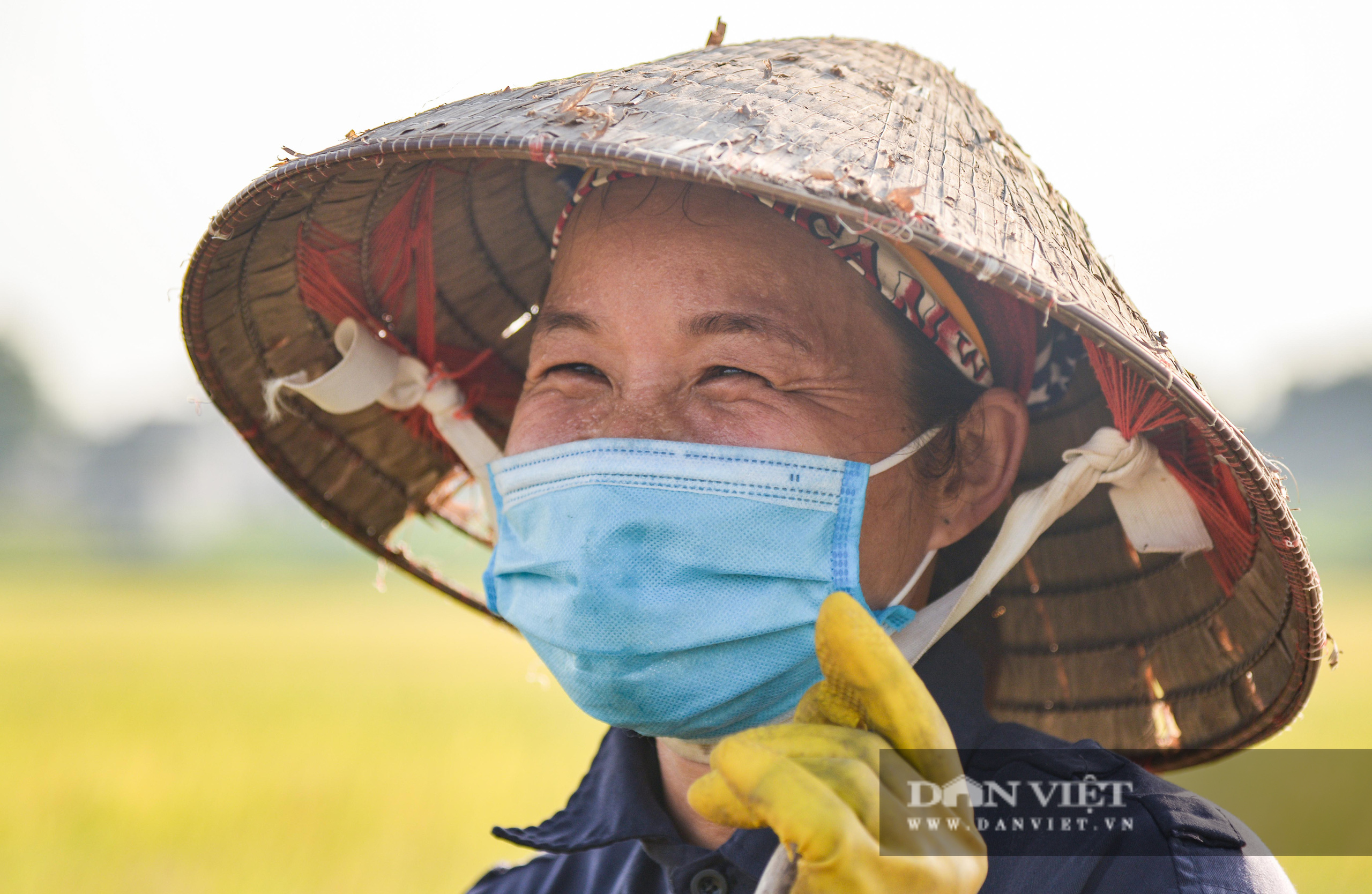 Người dân ngoại thành Hà Nội gặt lúa dưới thời tiết nắng nóng 40 độ C - Ảnh 7.