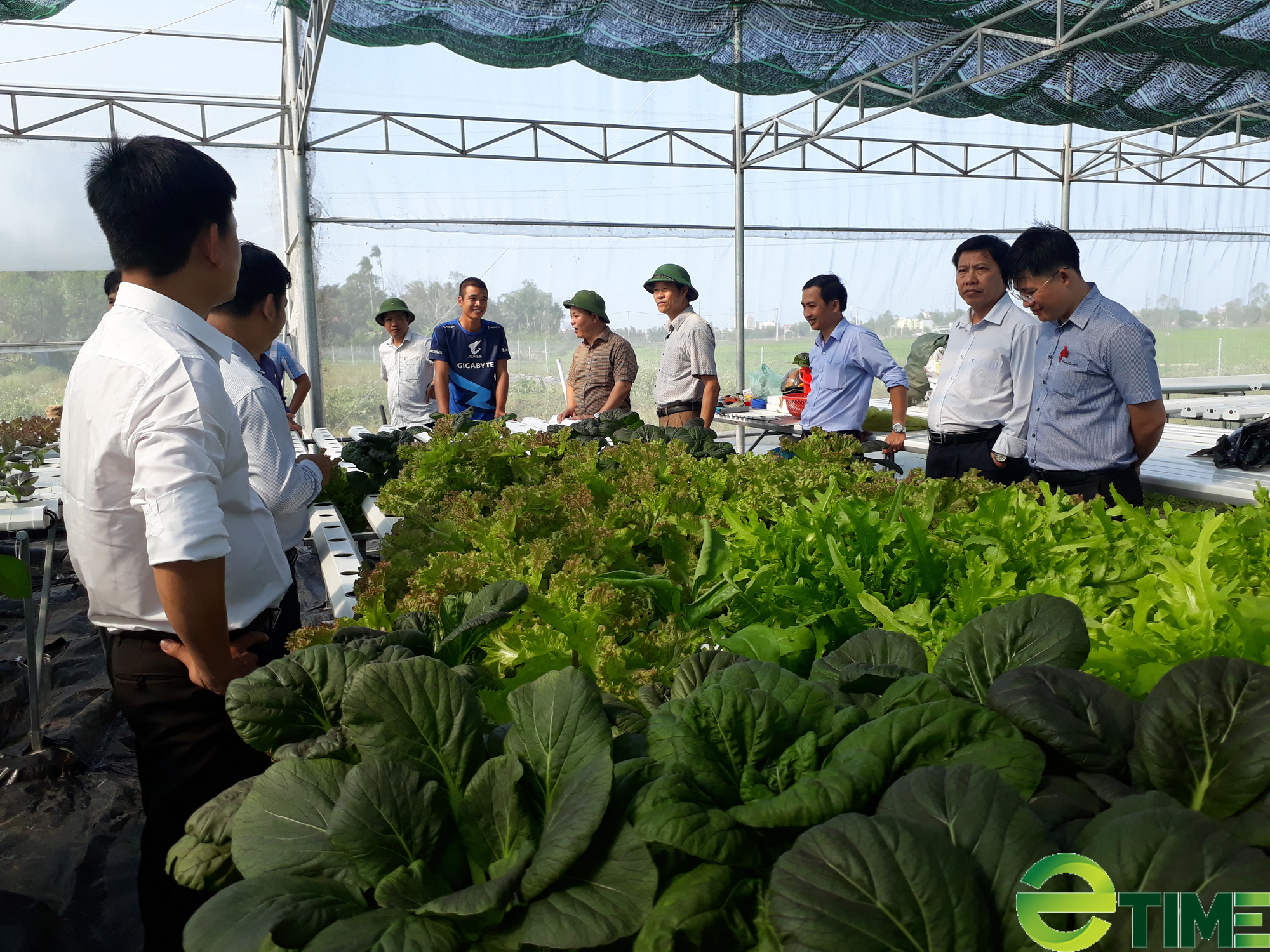 Quảng Nam: Thủ tướng công nhận thành phố Tam Kỳ đạt chuẩn Nông thôn mới - Ảnh 4. Quảng Nam: Thủ tướng công nhận thành phố Tam Kỳ đạt chuẩn Nông thôn mới - Ảnh 4.