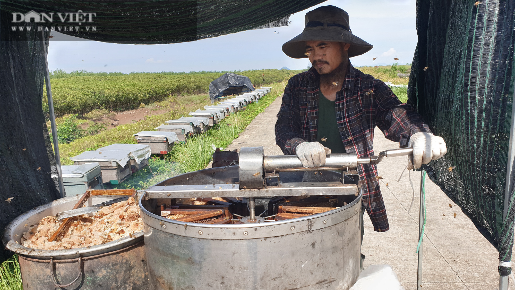 Ninh Bình: Sáng dậy sớm lấy mật ngọt từ biển, mỗi ngày ông nông dân này đút túi chục triệu triệu - Ảnh 2.