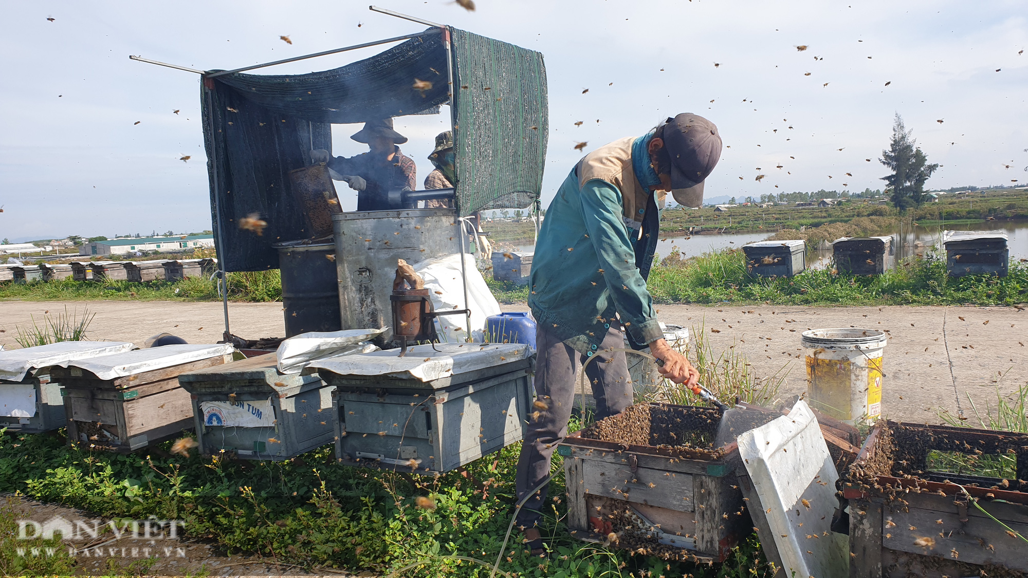 Ninh Bình: Sáng dậy sớm lấy mật ngọt từ biển, mỗi ngày ông nông dân này đút túi chục triệu triệu - Ảnh 3.