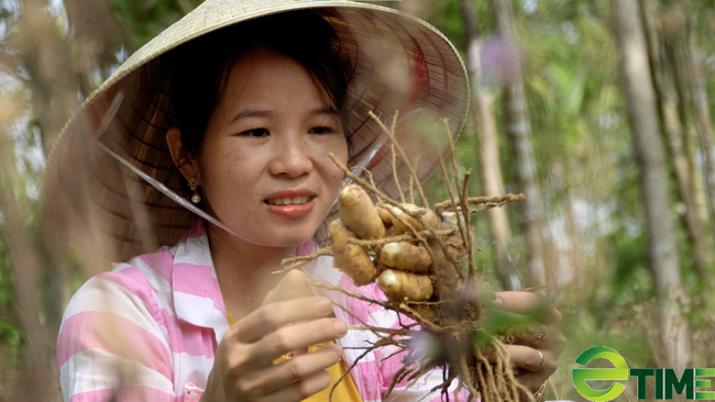 Quảng Nam: Sau khi sinh, cô gái xứ Tiên làm nên thương hiệu nghệ trắng nứt tiếng trên thị trường - Ảnh 1.