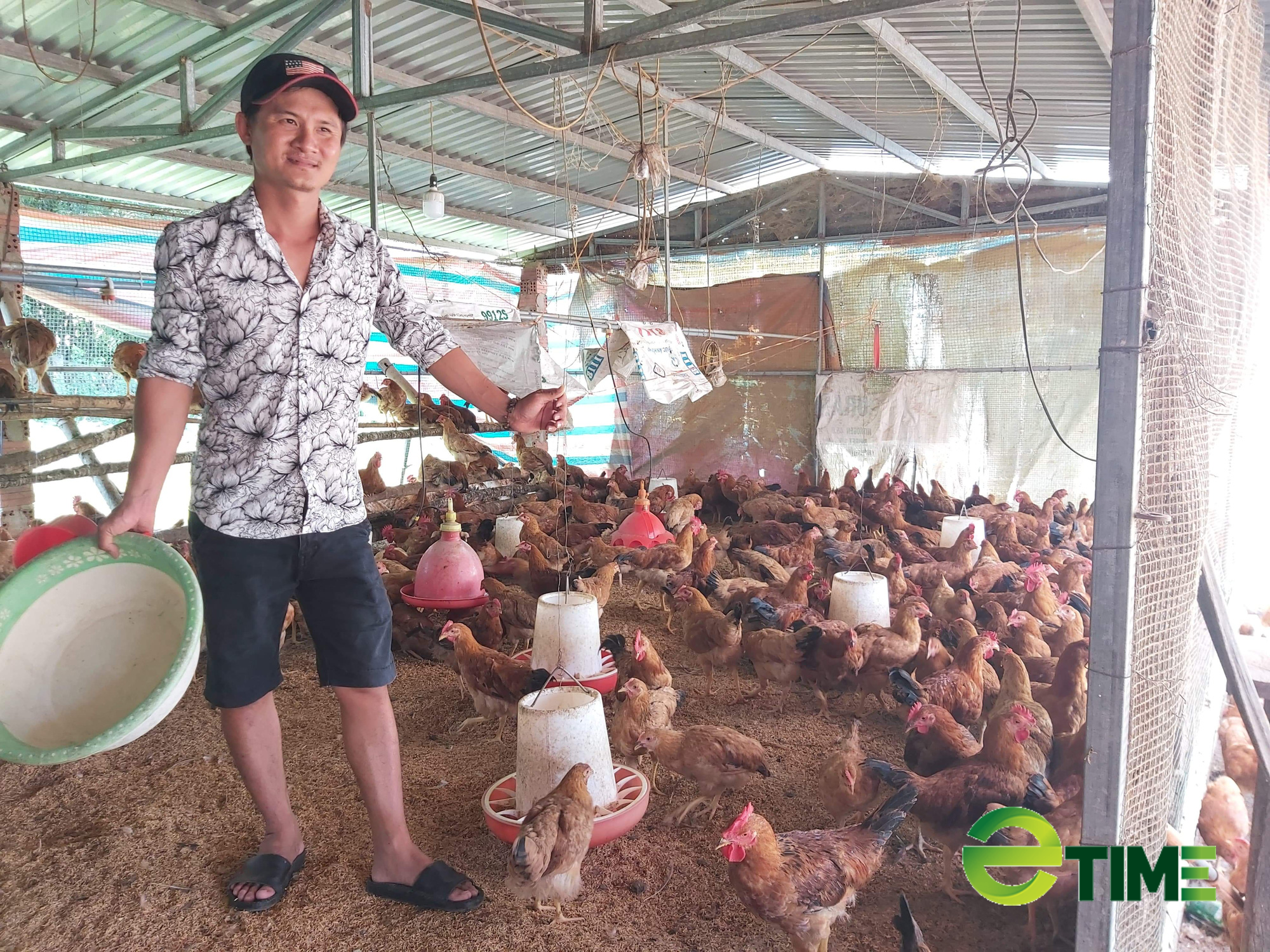 Quảng Nam: Được Agribank tiếp vốn, nhiều nông dân mạnh dạn vay vốn làm ăn thoát nghèo - Ảnh 1. Quảng Nam: Được Agribank tiếp vốn, nhiều nông dân mạnh dạn vay vốn làm ăn thoát nghèo - Ảnh 1.