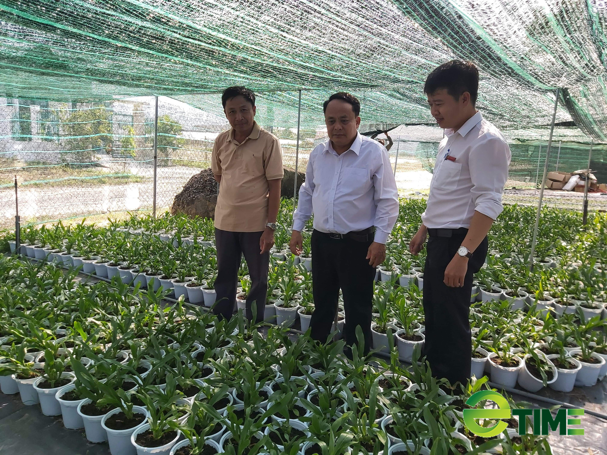 Quảng Nam: Được Agribank tiếp vốn, nhiều nông dân mạnh dạn vay vốn làm ăn thoát nghèo - Ảnh 3. Quảng Nam: Được Agribank tiếp vốn, nhiều nông dân mạnh dạn vay vốn làm ăn thoát nghèo - Ảnh 3.