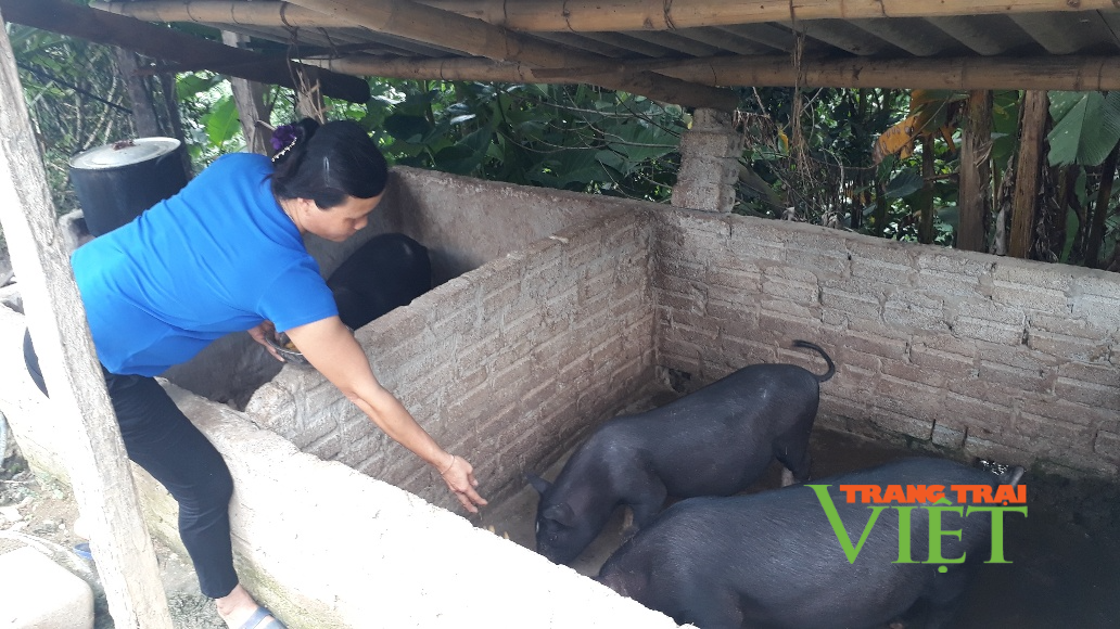 Nông dân Sìn Hồ chung sức xây dựng nông thôn mới - Ảnh 1. Nông dân Sìn Hồ chung sức xây dựng nông thôn mới - Ảnh 1.