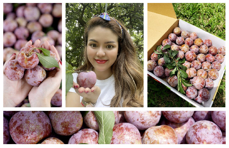 Trái mận hậu Ruby Sơn La được giới thiệu trên trang thương mại điển tử. Ảnh Foodmap