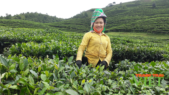 Tân Uyên làm gì để xây dựng sản phẩm OCOP? - Ảnh 1.