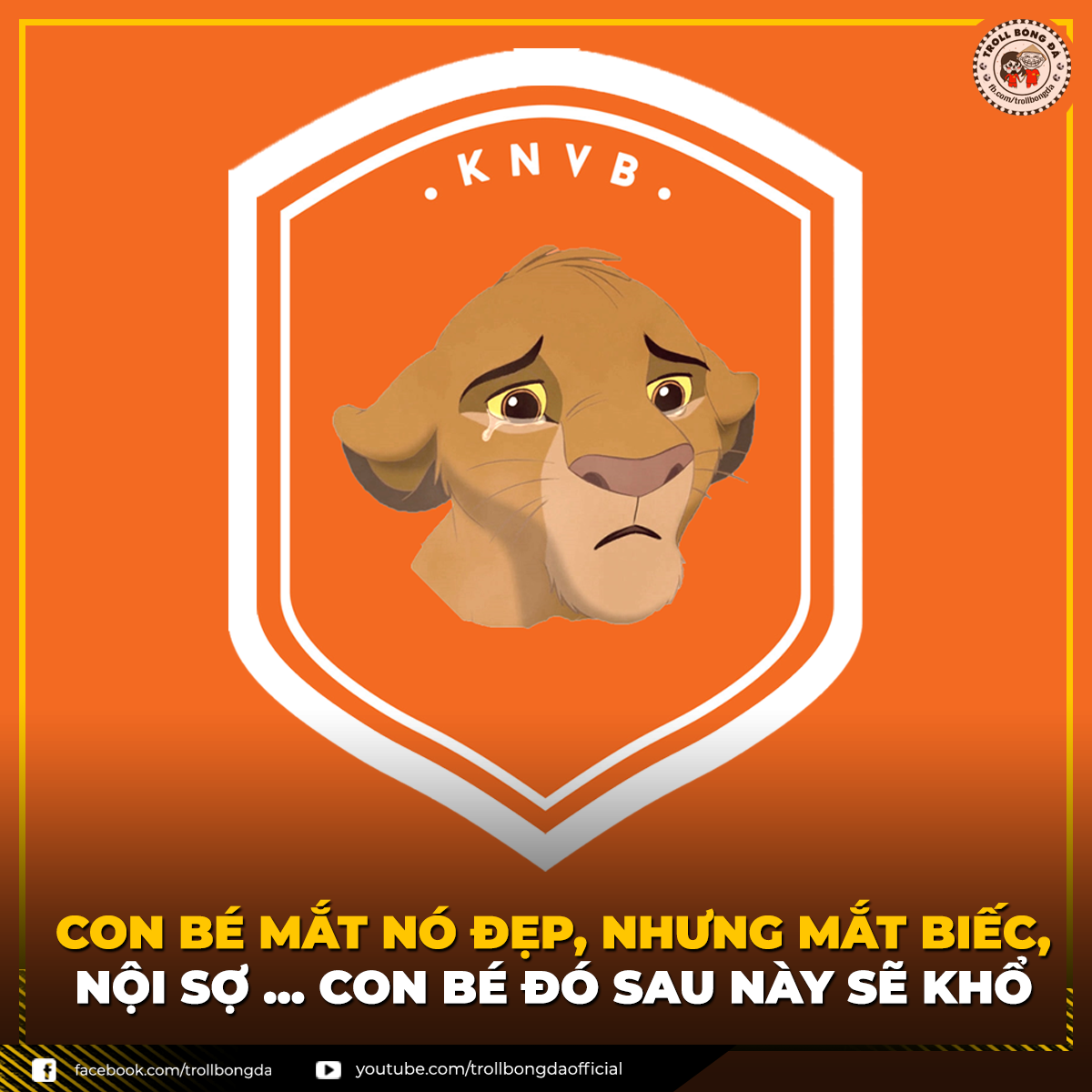 Ảnh chế Hà Lan thua CH Czech: Hà Lan và Ngạn bị… réo tên - Ảnh 12.