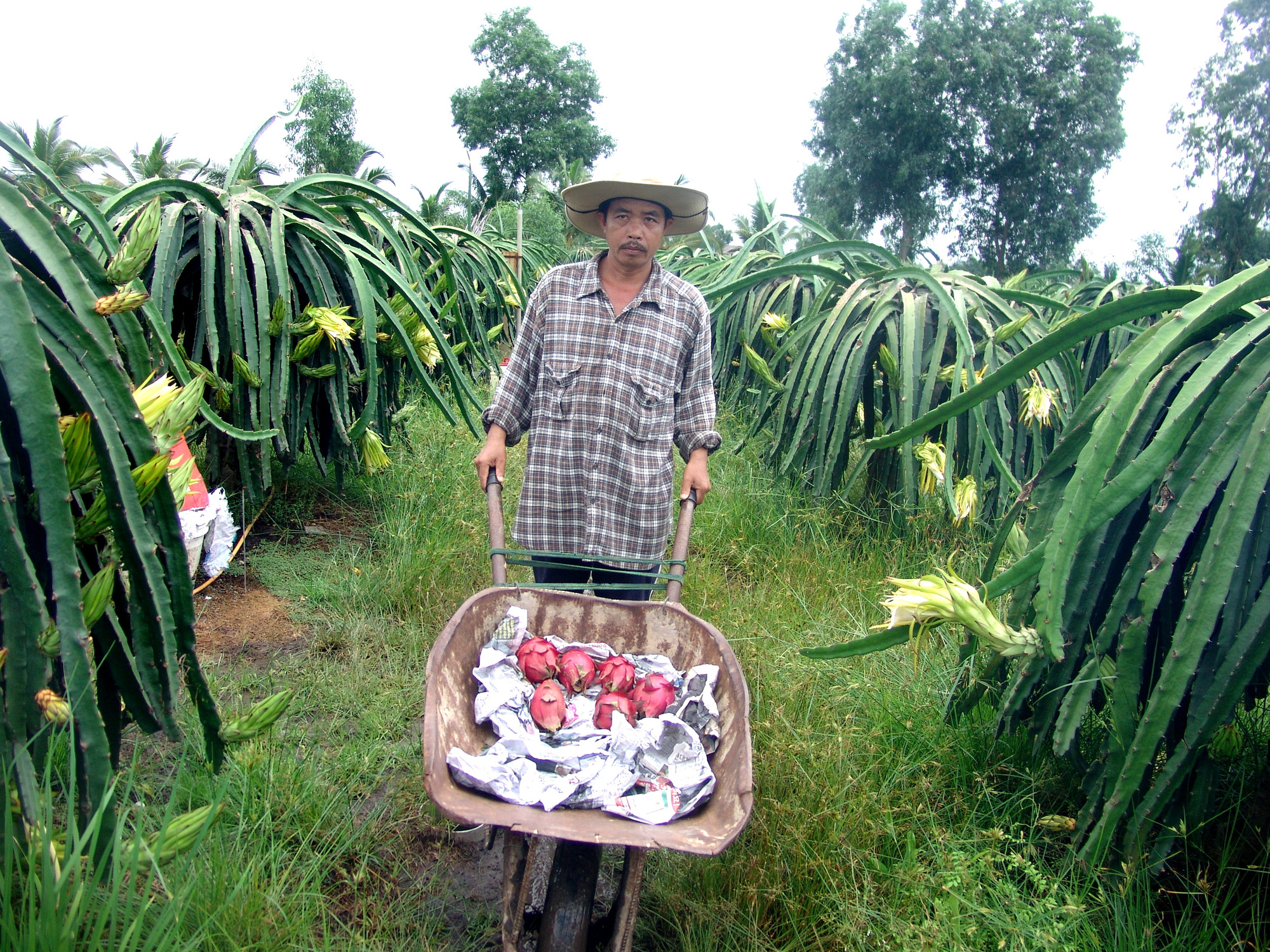 “Cảm hứng” làm giàu trên vùng đất nông thôn mới - Ảnh 1.