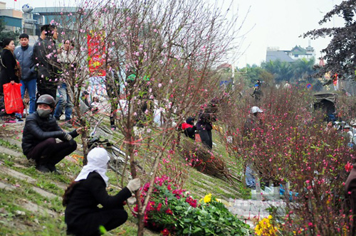 Hà Nội những bờ đê thương nhớ - Ảnh 2.