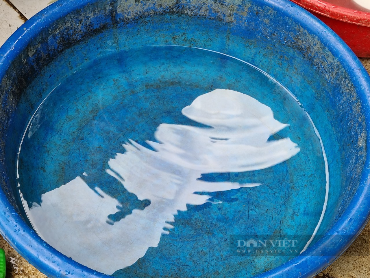Ninh Bình: Hàng chục hộ dân làng Quang Hiển “khát nước” sạch sinh hoạt - Ảnh 3.
