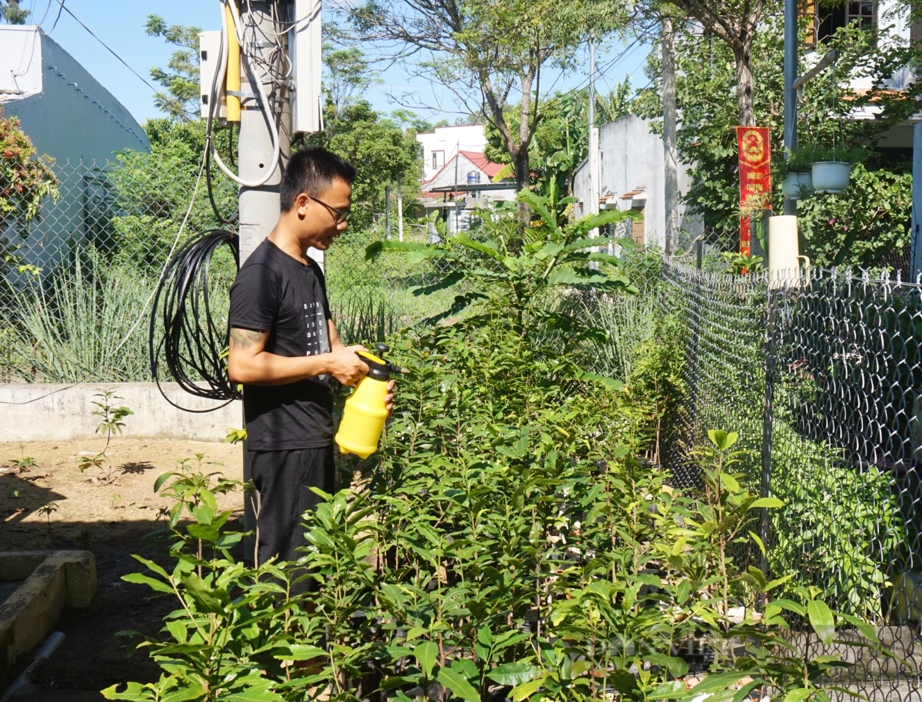Quảng Nam: Chàng trai 9X khởi nghiệp trên đất cát, bán mai qua online - Ảnh 3.