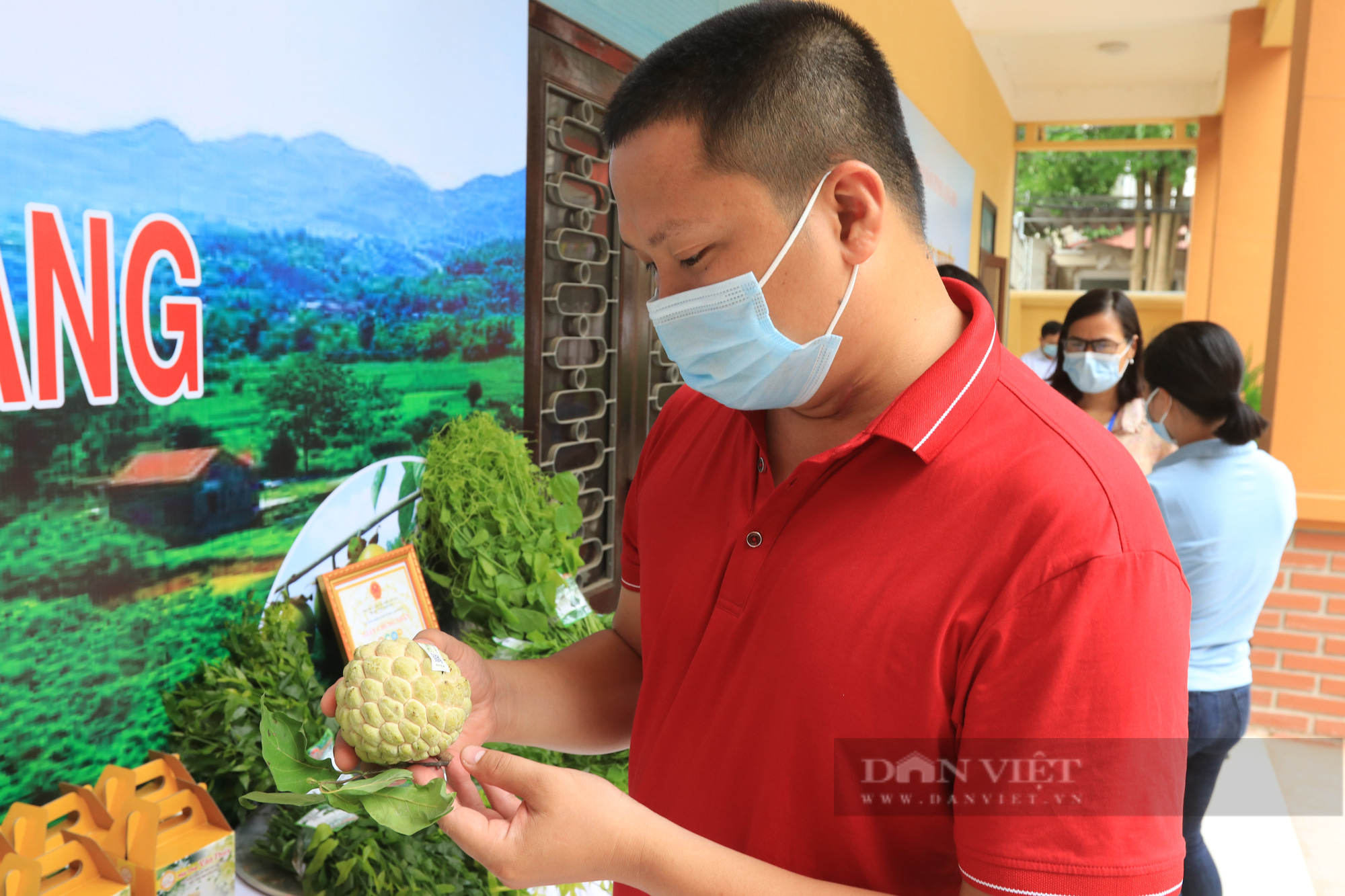 Lạng Sơn hội nghị Trực tuyến bán na Chi Lăng và các sản phẩm Ocop. - Ảnh 2.