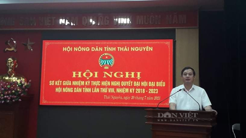Hội nông dân Thái Nguyên chú trọng đào tạo nghề, hỗ trợ nông dân phát triển kinh tế - Ảnh 4.